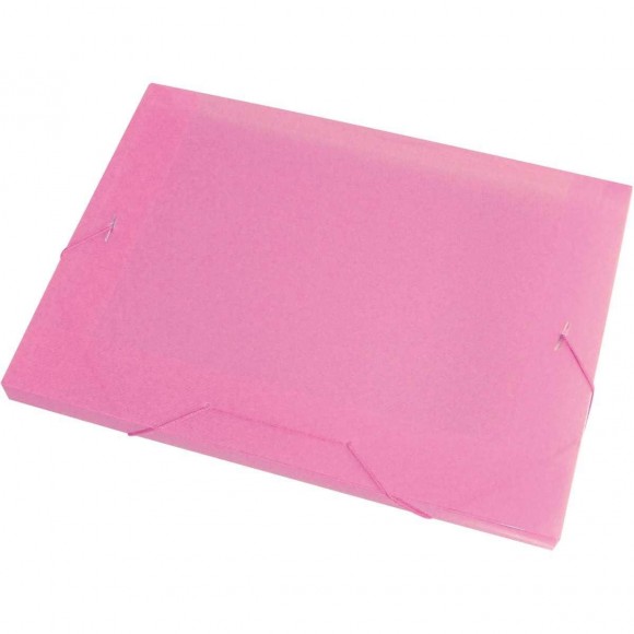 PASTA ABA ELASTICA PLASTICA MINI 20MM ACP ROSA PE/10